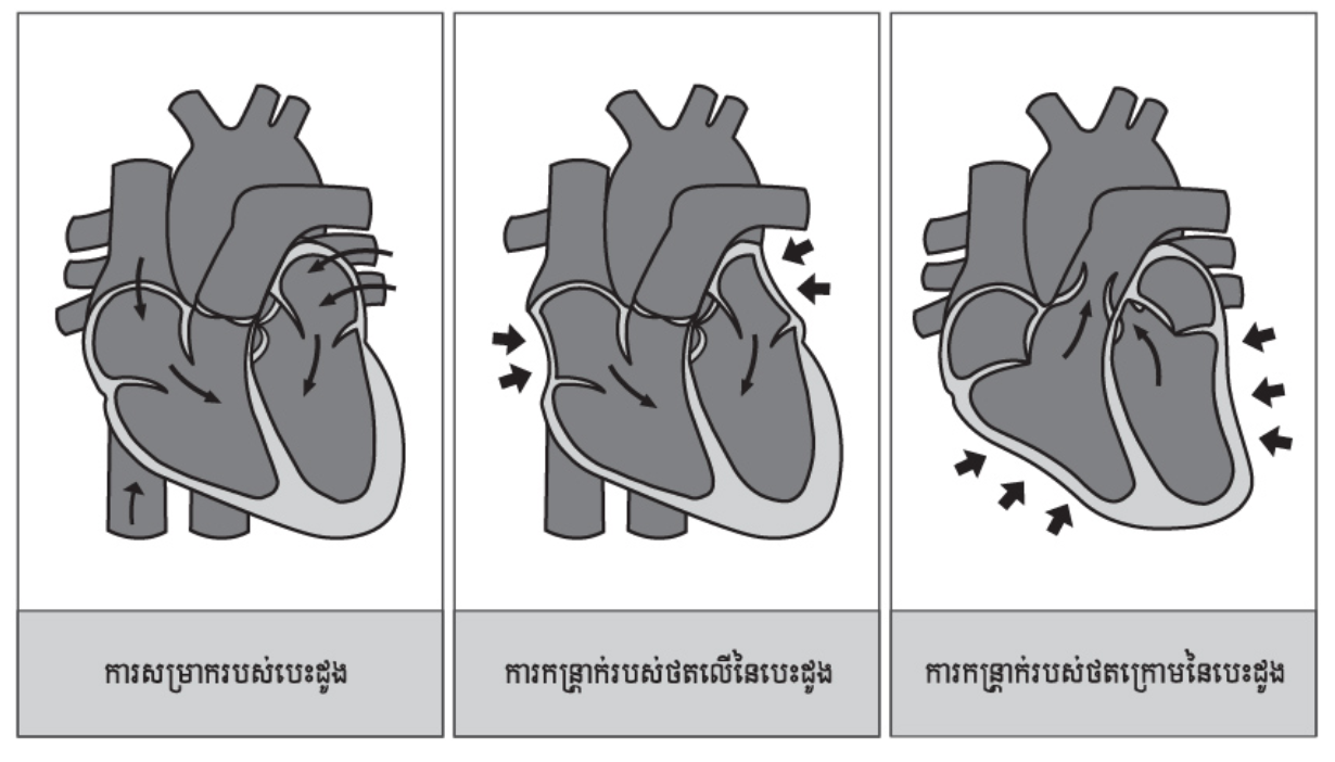 1- cardio kh 1-4