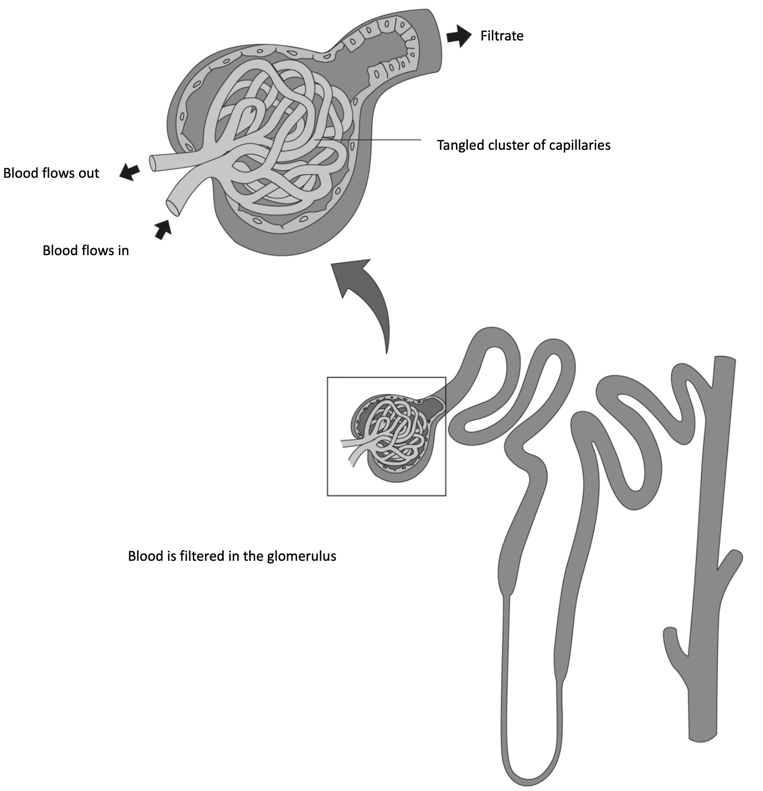 3- urinary 1-7